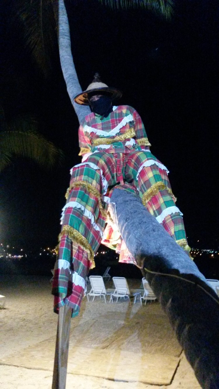 mockojumbionpalmtree